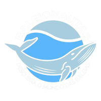 Design sem nome-34